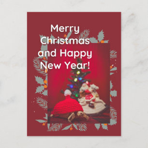 Feestelijke kerst Baby Sulcata schildpad in rood p Briefkaart