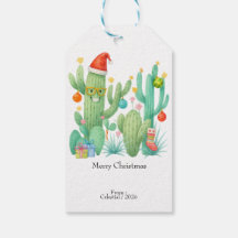 Feestelijke Kerstcactus met Santa Hat & Ornament