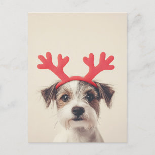 Feestelijke pup met rendiergewei briefkaart