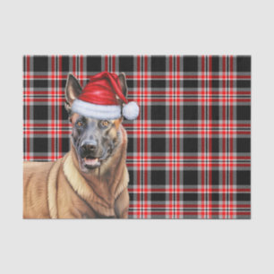 Feestelijke Red Plaid Belgische Mechelse Hond Kers Tissuepapier