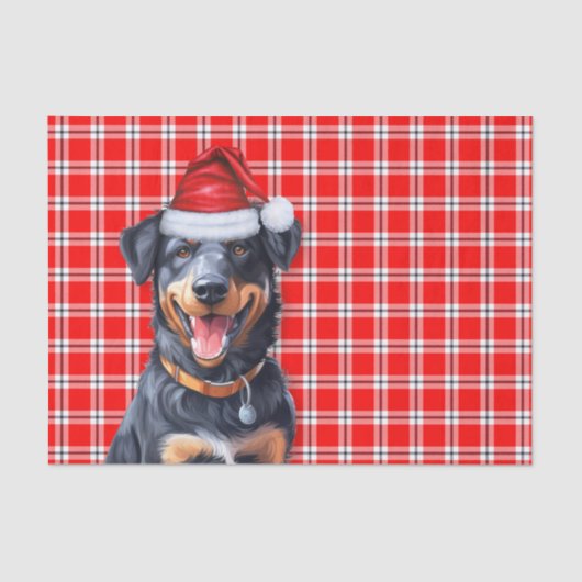 Feestelijke Red Plaid en Beauceron Dog Kerstmis Tissuepapier (Voorkant)