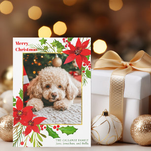 Feestelijke Rode Bloemen Hond Foto Kerst Poinsetti Feestdagenkaart