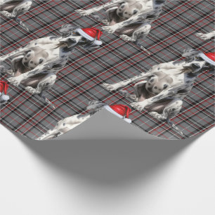 Feestelijke rode plaid en grote Deense hond Kerstm Cadeaupapier