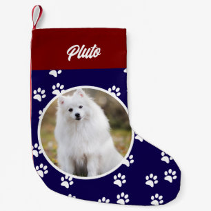 Feestelijke Schattigee Hond Pet Foto Kleine Kerstsok