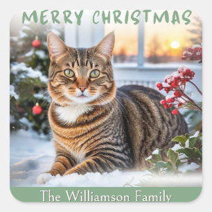 Feestelijke Tabby Kat In Sneeuw Schattig Dier Kers Vierkante Sticker