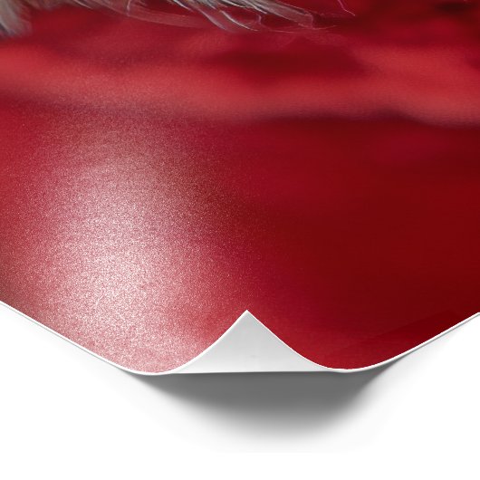 Feestelijke teckel in Santa Attire Foto Afdruk (Hoek)