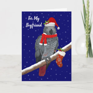 Feestelijke Veren (Boyfriend) Kaart