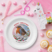 Feestelijke Winter Robin Waterverf Kerst Papieren Bordje (Feest)