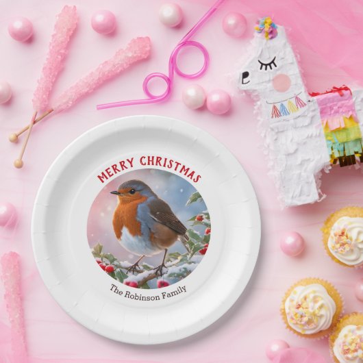 Feestelijke Winter Robin Waterverf Kerst Papieren Bordje (Feest)