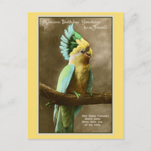  feestfoto van een vriendin van een cocktails briefkaart