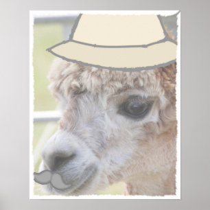 Feestlama met een snor poster