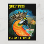 Feestpapegaaien Briefkaart (Voorkant)