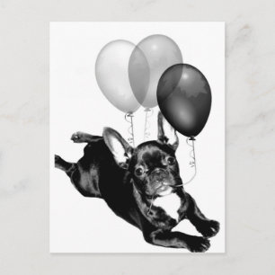 Feesttijd Franse Bulldog briefkaart