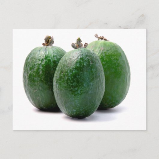 Feijoa Briefkaart (Voorkant)