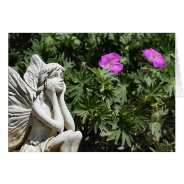 feilloos (Voorkant Horizontaal)