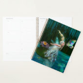 feilloos planner (Display)