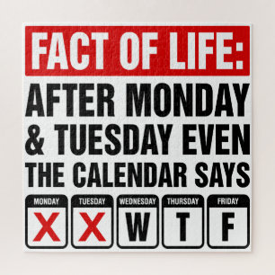 Feit van het Leven Kalender Zegt WTF Humor Legpuzzel