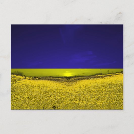 Feld in Farben der Ukraine Briefkaart (Voorkant)