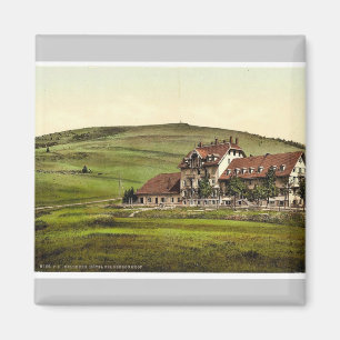 Feldberger Hotel, Feldberg, Black Forest, Baden, G Magneet