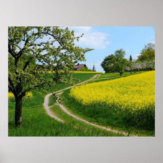 Feldweg am Rapsfeld.Frühling, Maulbronn-"Schmie", Poster (Voorkant)