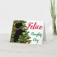 Felice Naughty Dog