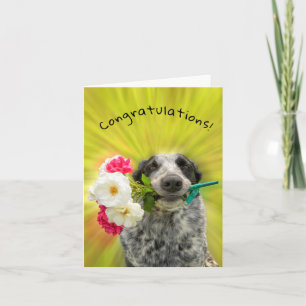 Felicitatie! Fijne hond met bloemen Kaart