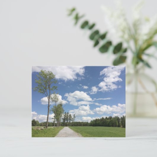 Félicitation ! HORS-MARCHE ! carte postale (Debout devant)