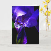 Félicitations ! ! carte avec Iris (Fleur jaune)
