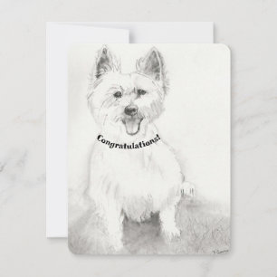 Félicitations carte blanche