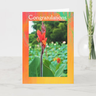 Félicitations Carte de voeux pliée par Jo Images