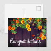 Félicitations Carte Postale Capucine (Devant / Derrière)