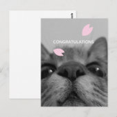 Félicitations  Carte postale vierge  (Devant / Derrière)