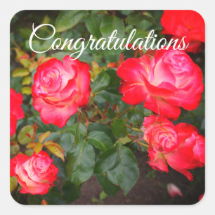 Félicitations Cherry Parfait Rose #5 Stickers