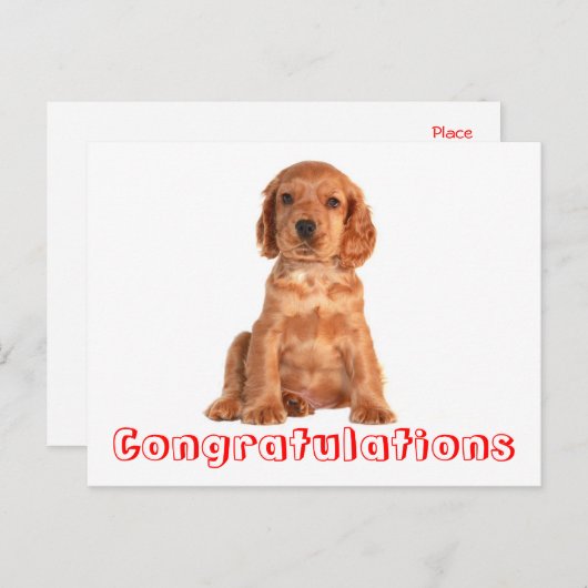 Félicitations Cocker Spaniel Puppy Chien Carte Pos (Devant / Derrière)
