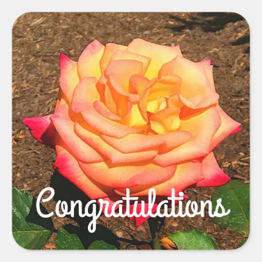 Félicitations Dream Come True Stickers Rose #3 (Devant)