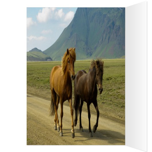 Félicitations Fête salutations (Intérieur (Gauche))