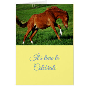 Félicitations Fête salutations