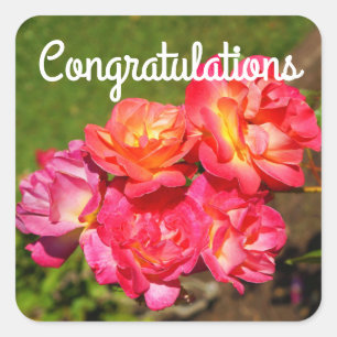 Félicitations Joseph’s Coat Rose #1 Stickers