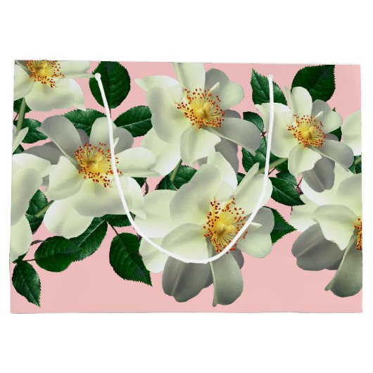 Félicitations ! - M. & Sac cadeau Mme (Dos)