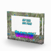 Félicitations Peacock F. Cust. Bloc photo couleur (Droite)