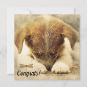 Félicitations pour la carte de nouveau chien de co (Devant)