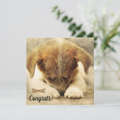 Félicitations pour la carte Nouveau Chien de Compa (Debout devant)