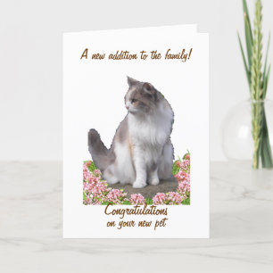 Félicitations pour les nouvelles cartes de visite,