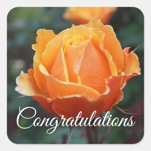 Félicitations pour les Stickers #1 Rose visage (Devant)