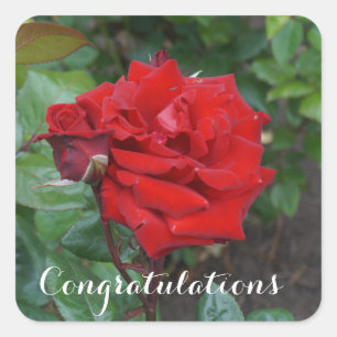 Félicitations Rose de bouquet Crimson #2 Stickers