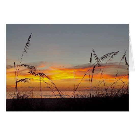 Félicitations Sunset and Sea Oats Greeting Card (Devant Horizontal)
