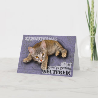 Félicitations ! Vous êtes changés ! Carte