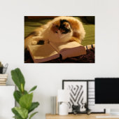 Feliene wetenschapper poster (Thuiskantoor)