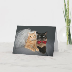 Feline Bride en Groom Aankondiging