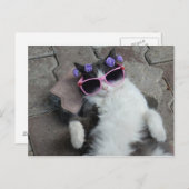 Feline Diva Briefkaart (Voorkant / Achterkant)